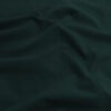 verde-bacu_00018